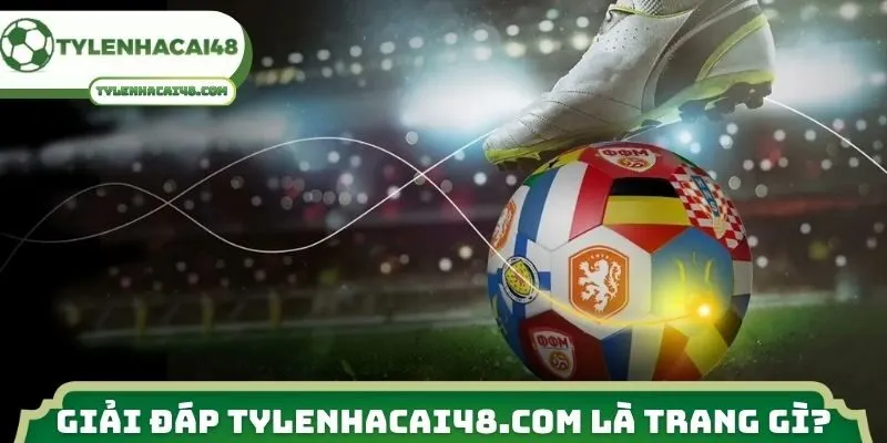 Giải đáp tranhtrangtri360.com là trang gì?
